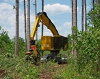 Komatsu Tracked Harvester in forest